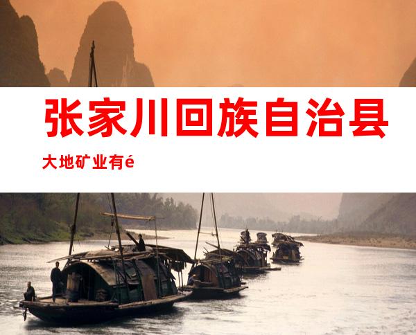 张家川回族自治县大地矿业有限责任公司